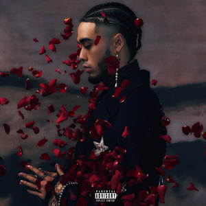 日韩精品一区二区三区老鸦窝
