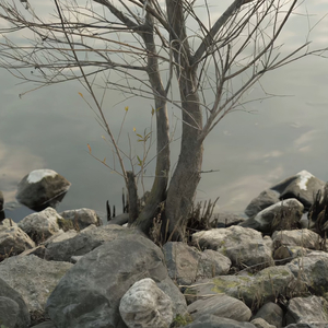 日韩精品一区二区三区老鸦窝
